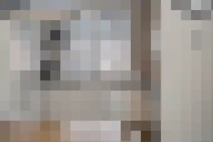 Laurentiden 40 Assendelft thumbnail 14