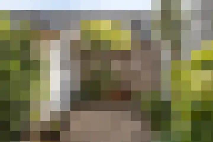 Laurentiden 40 Assendelft thumbnail 15