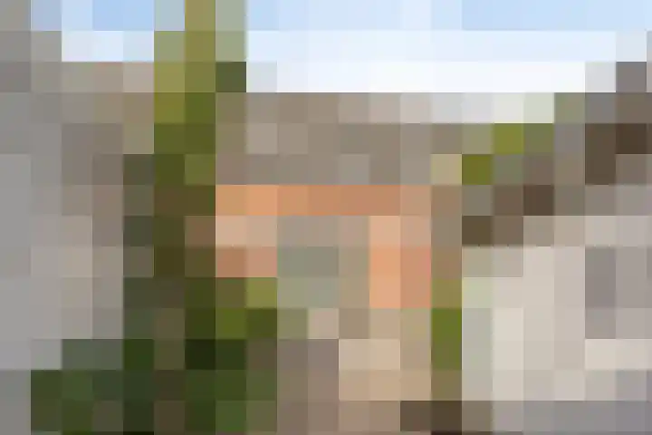 Laurentiden 40 Assendelft thumbnail 16