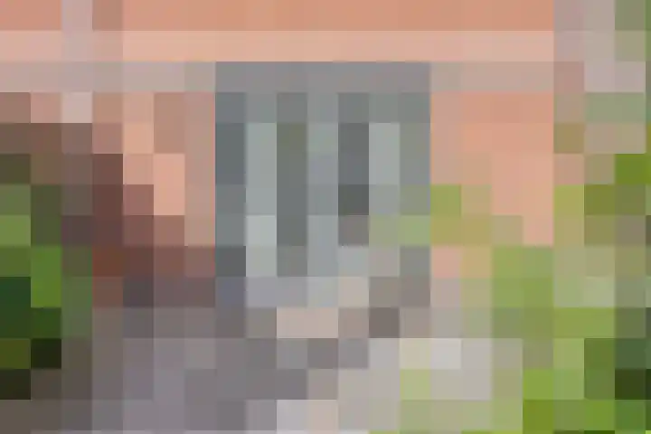 Laurentiden 40 Assendelft thumbnail 17