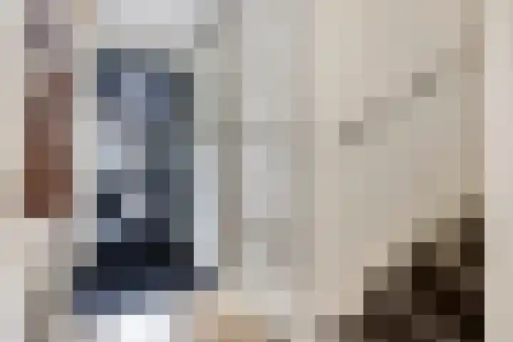 Laurentiden 40 Assendelft thumbnail 19