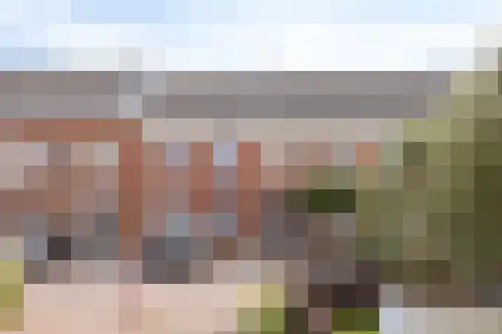 Laurentiden 40 Assendelft thumbnail 33