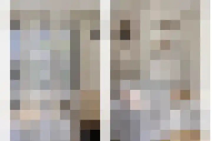 Laurentiden 40 Assendelft thumbnail 7