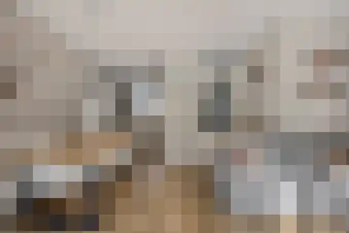 Laurentiden 40 Assendelft thumbnail 9