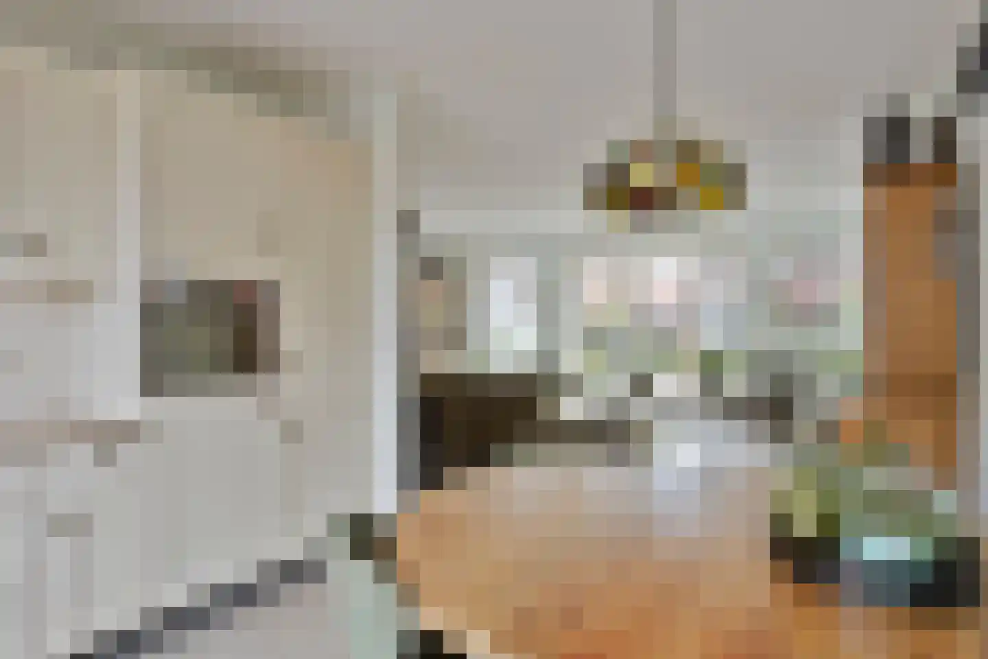 Laurentiden 43 Assendelft thumbnail 11