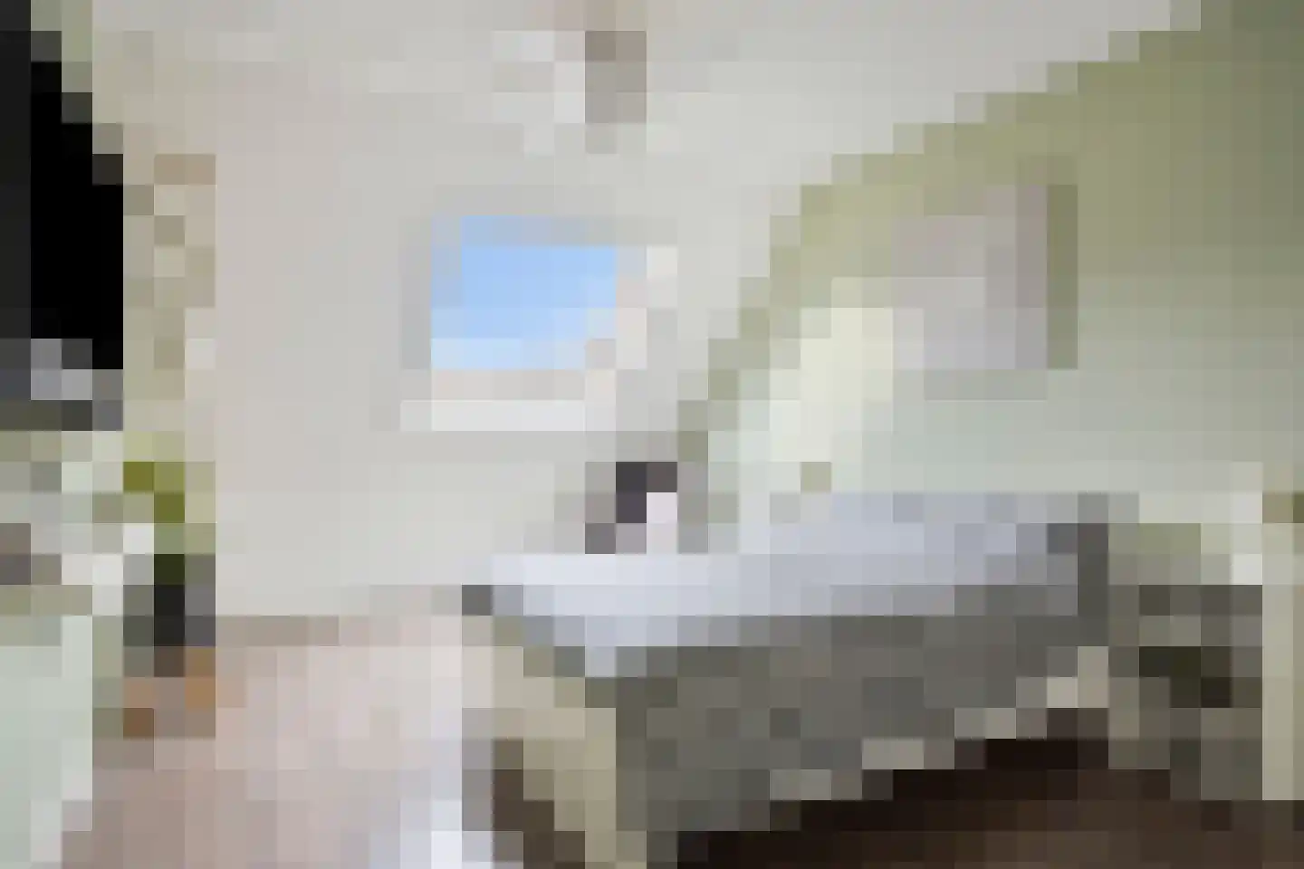 Laurentiden 43 Assendelft thumbnail 14