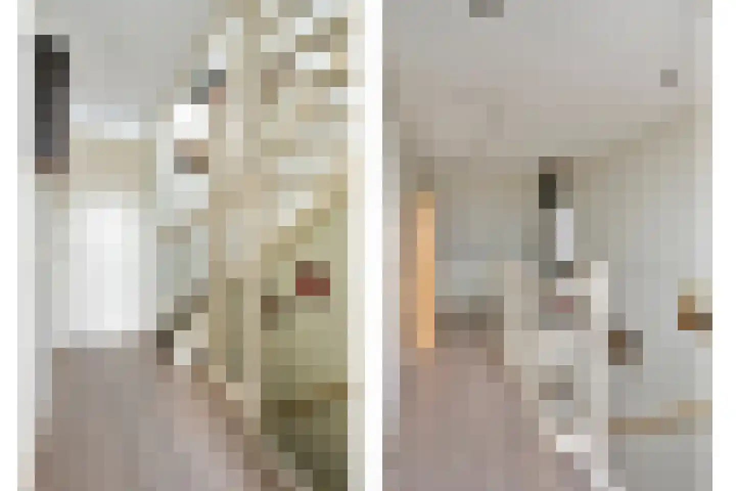 Laurentiden 43 Assendelft thumbnail 21