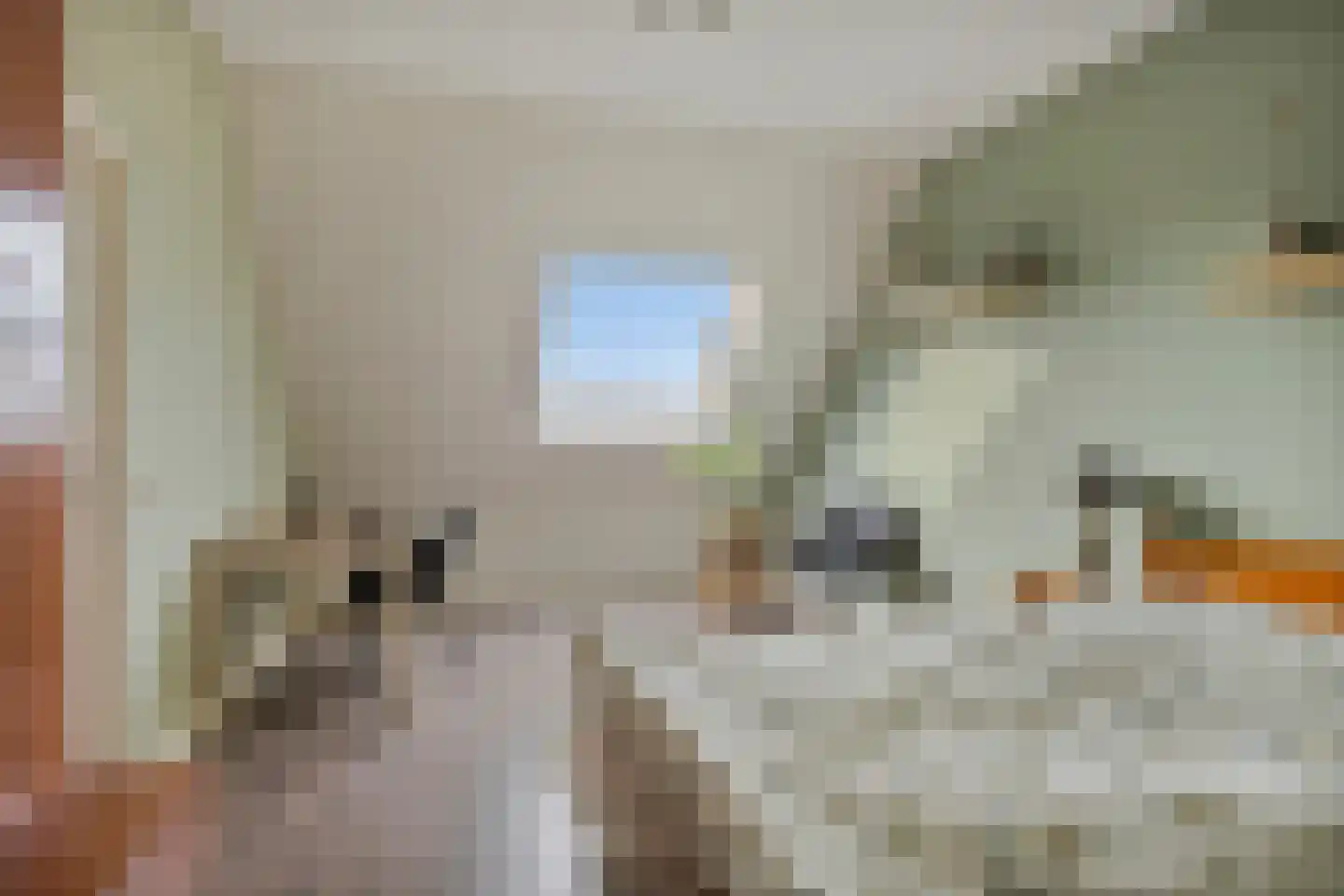 Laurentiden 43 Assendelft thumbnail 23