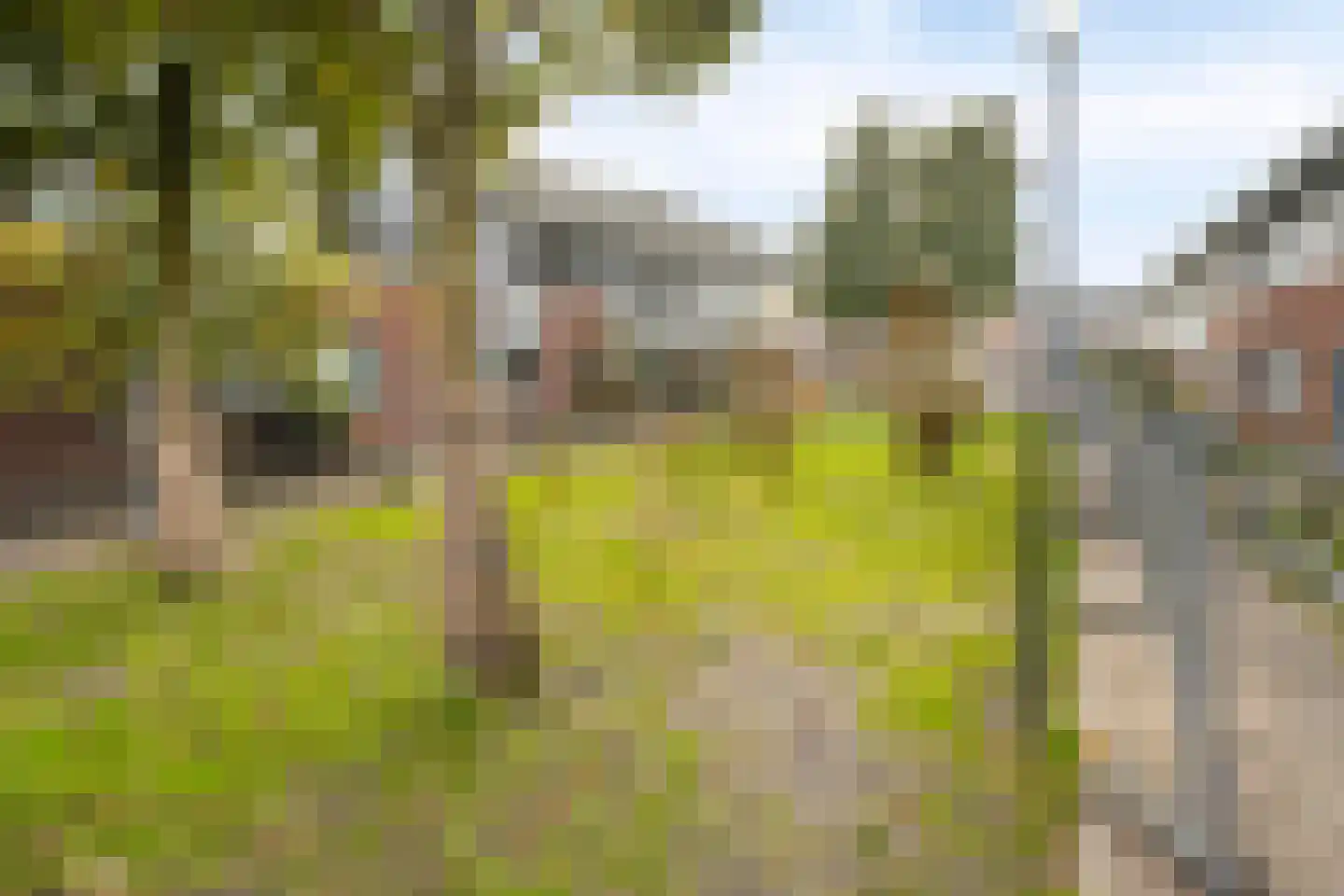 Laurentiden 43 Assendelft thumbnail 30