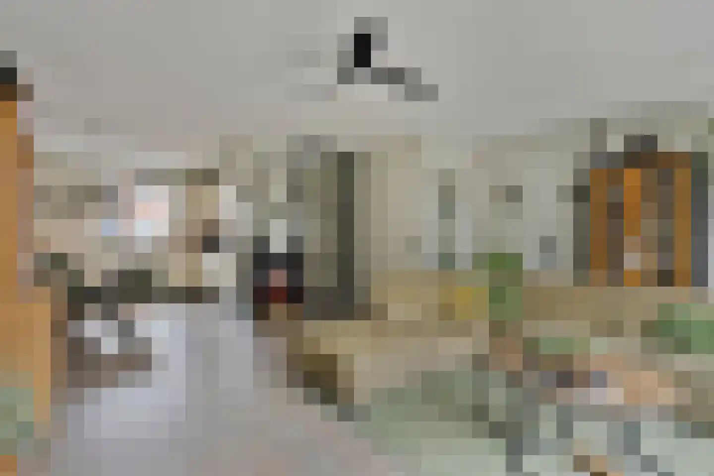 Laurentiden 43 Assendelft thumbnail 8