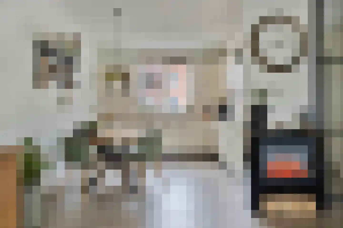 Laurentiden 43 Assendelft thumbnail 9