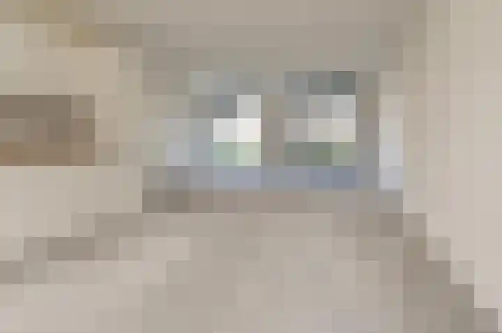Laurentiushof 13 IJmuiden thumbnail 9