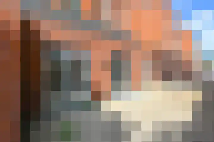 Laurentiushof 23 IJmuiden thumbnail 17