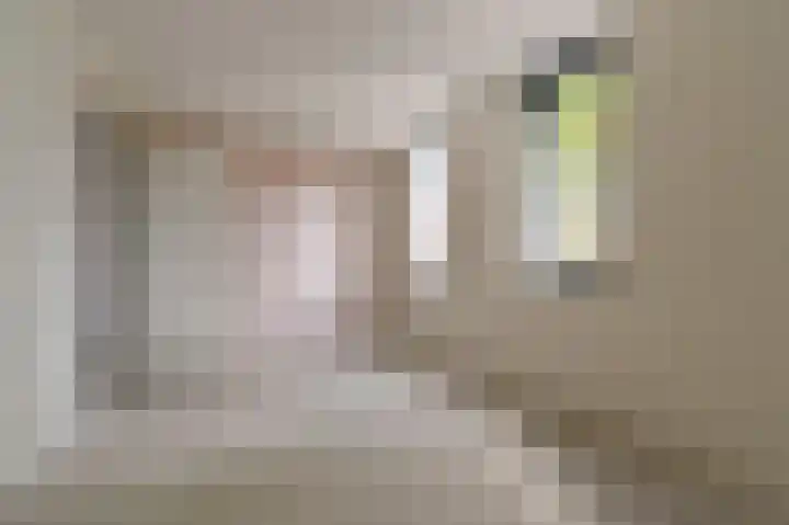 Laurentiushof 23 IJmuiden thumbnail 8