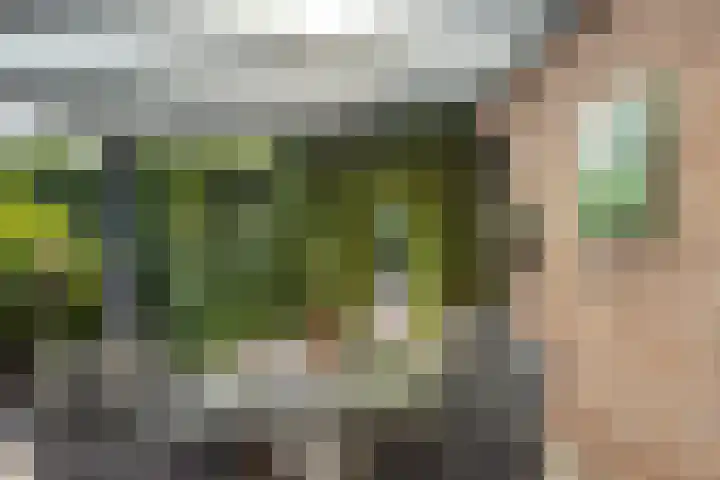 Laurentiusstraat 13 Beek thumbnail 38