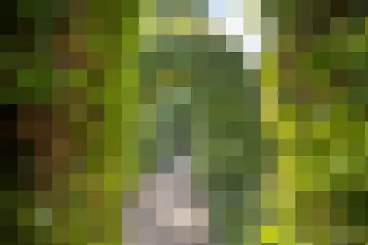 Laurentiusstraat 13 Beek thumbnail 40