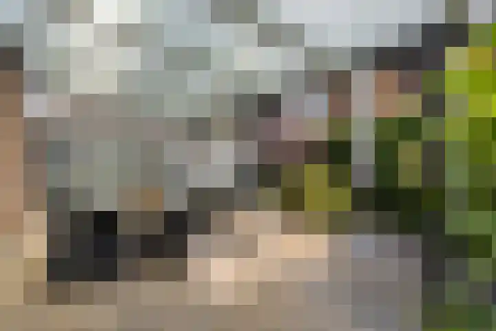 Laurentiusstraat 13 Beek thumbnail 41