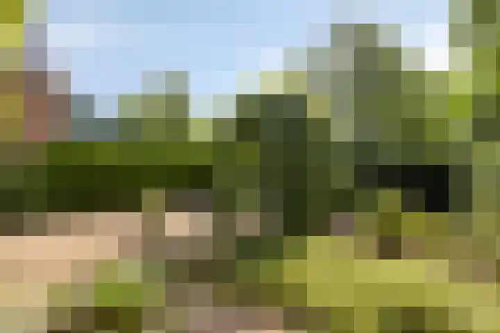 Laurentiusstraat 13 Beek thumbnail 42