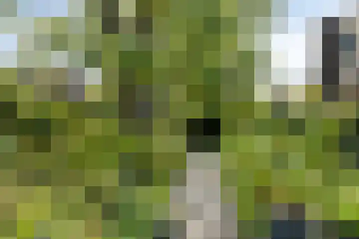 Laurentiusstraat 13 Beek thumbnail 43