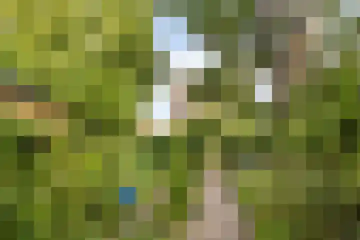 Laurentiusstraat 13 Beek thumbnail 44