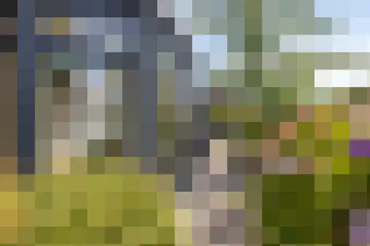 Laurentiusstraat 3 Beek thumbnail 21