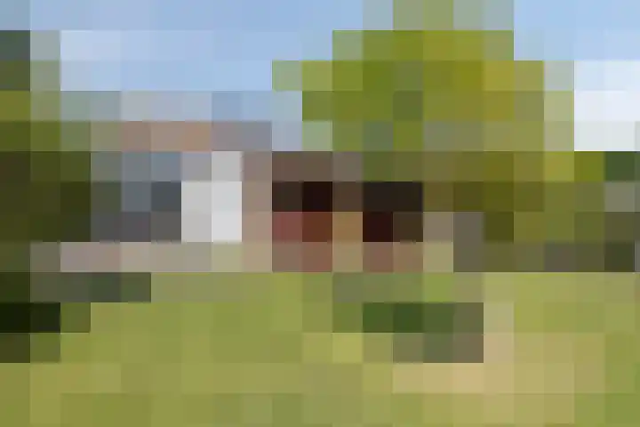 Laurentiusstraat 3 Beek thumbnail 28