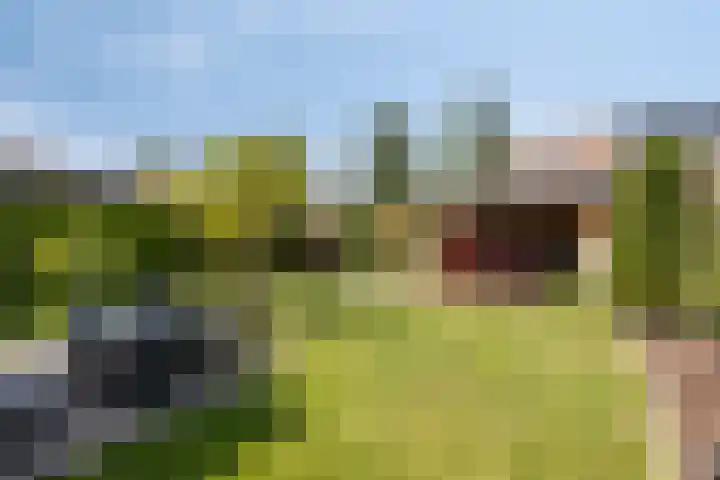 Laurentiusstraat 3 Beek thumbnail 4