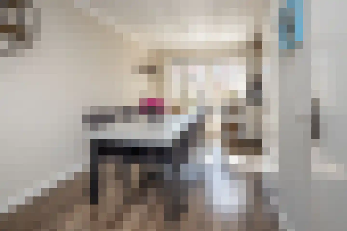 Laurier 10 Hoogkarspel thumbnail 11