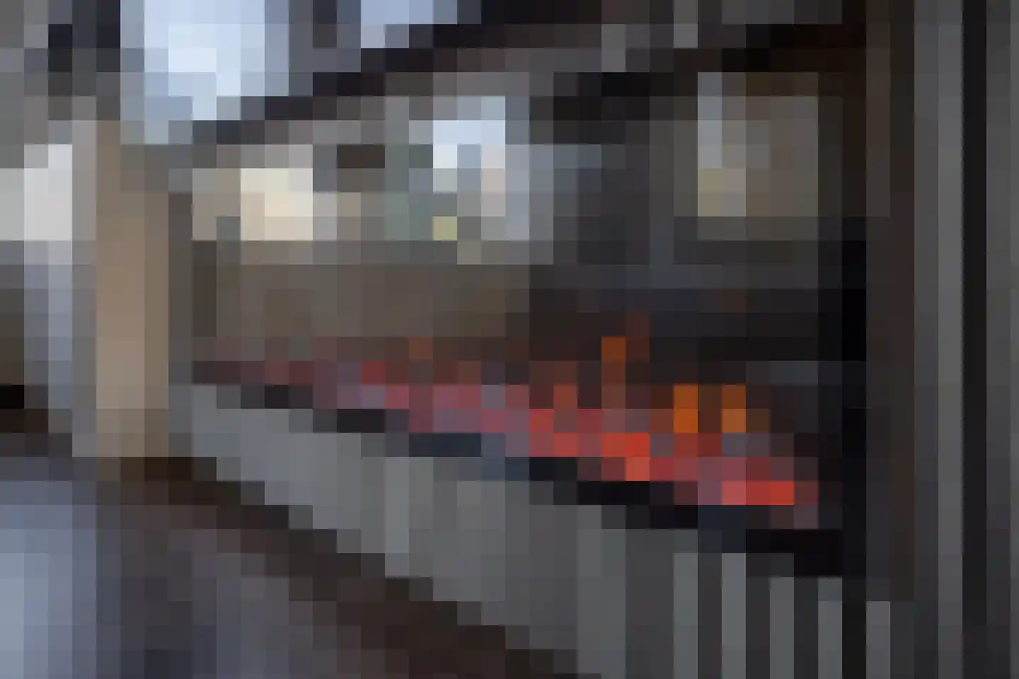 Laurier 10 Hoogkarspel thumbnail 14