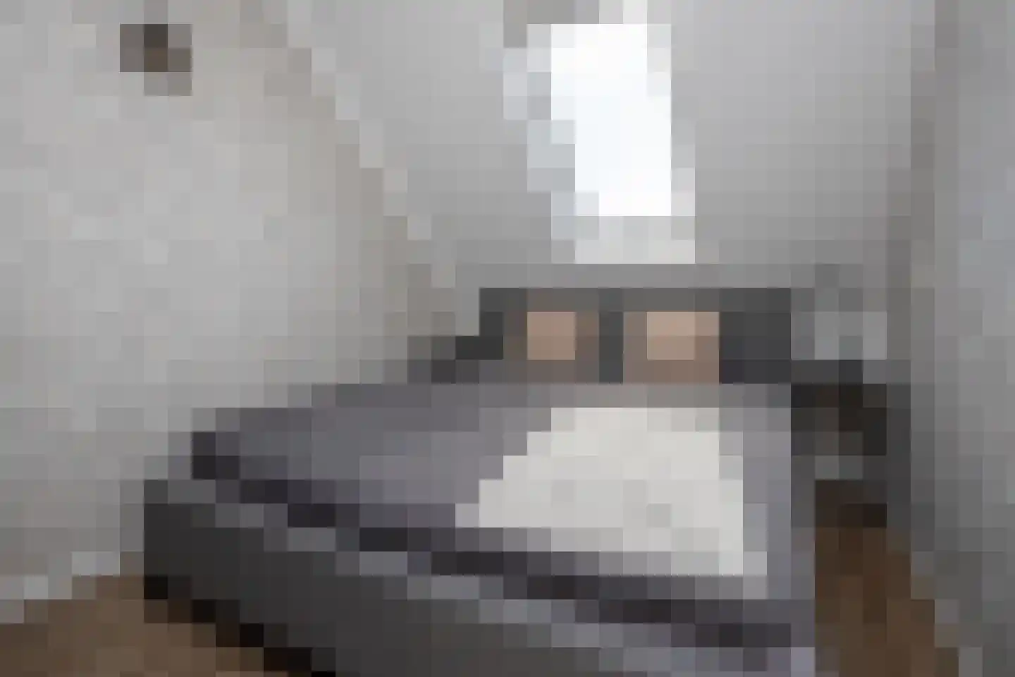 Laurier 10 Hoogkarspel thumbnail 16