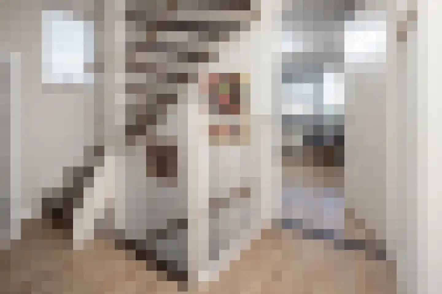 Laurier 10 Hoogkarspel thumbnail 17