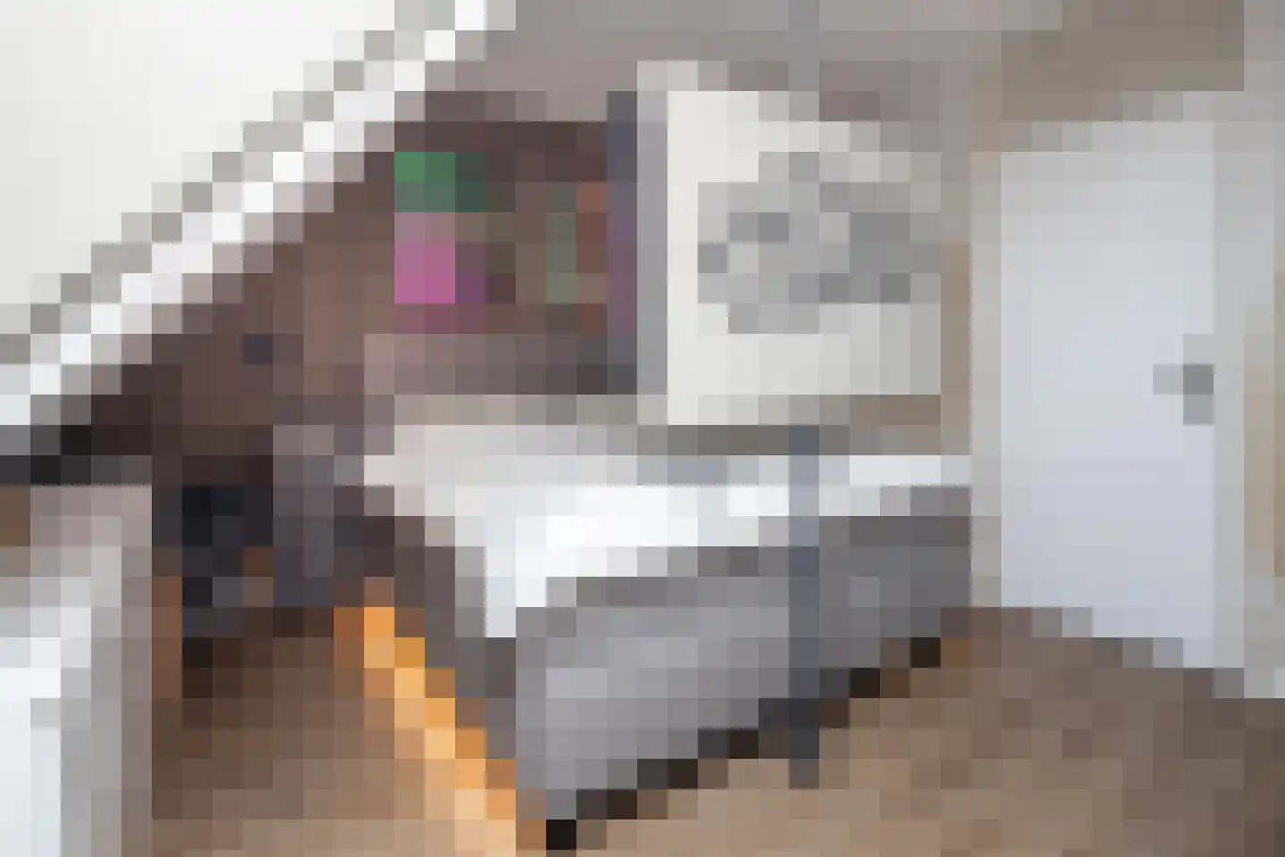 Laurier 10 Hoogkarspel thumbnail 21
