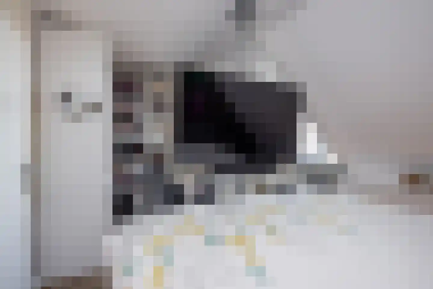 Laurier 10 Hoogkarspel thumbnail 22