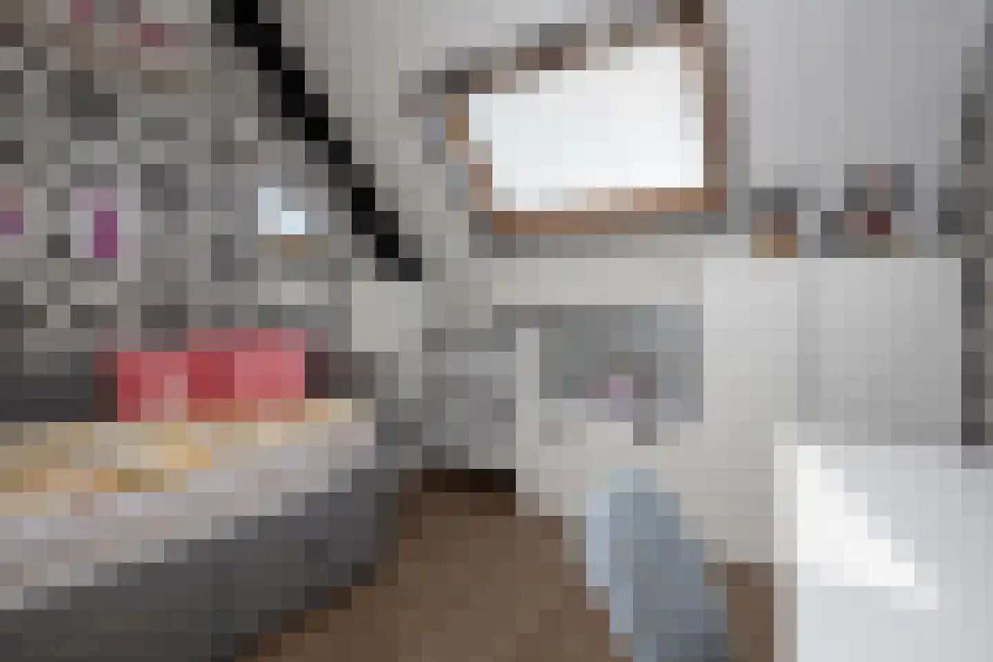 Laurier 10 Hoogkarspel thumbnail 23