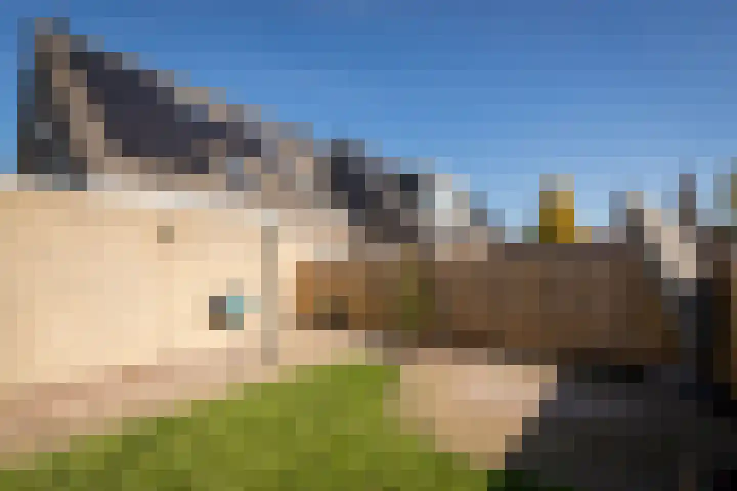 Laurier 10 Hoogkarspel thumbnail 27