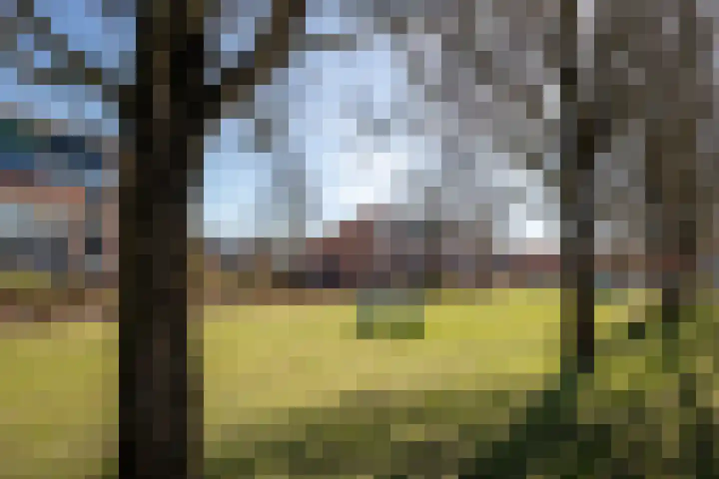 Laurier 10 Hoogkarspel thumbnail 31