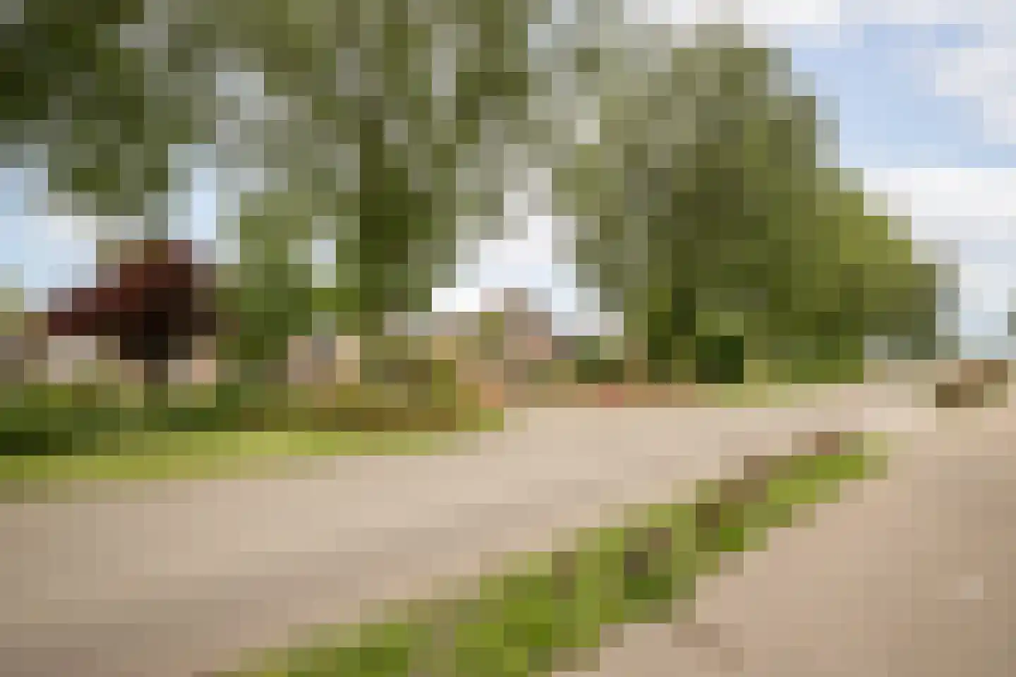 Laurier 10 Hoogkarspel thumbnail 32