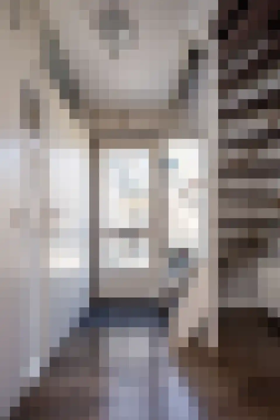 Laurier 10 Hoogkarspel thumbnail 40
