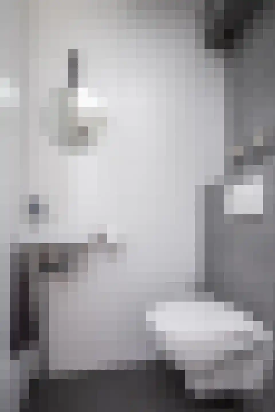 Laurier 10 Hoogkarspel thumbnail 41