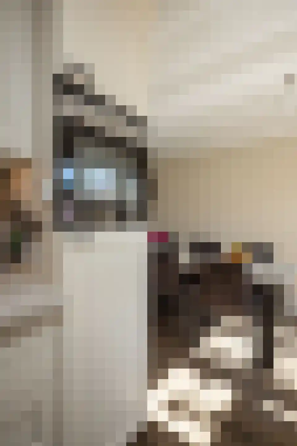 Laurier 10 Hoogkarspel thumbnail 42