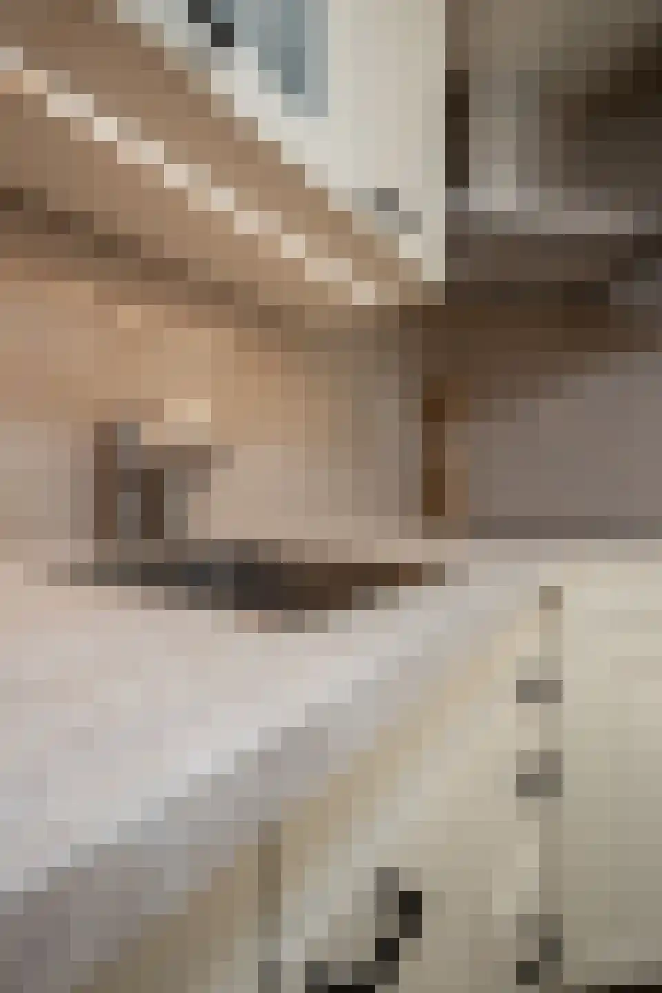 Laurier 10 Hoogkarspel thumbnail 43