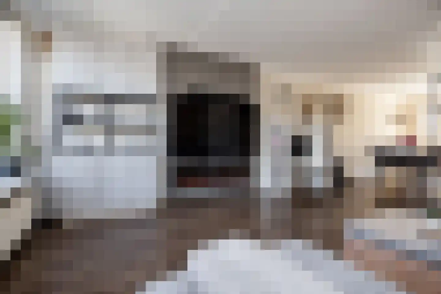Laurier 10 Hoogkarspel thumbnail 9
