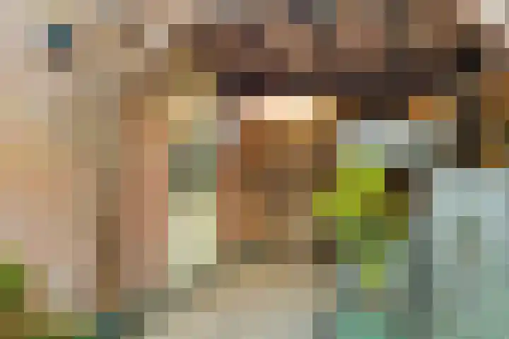 Laurier 11 Nijverdal thumbnail 30