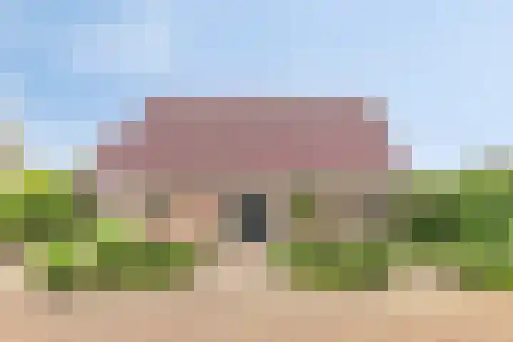 Laurier 12 Coevorden