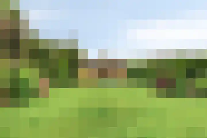 Laurier 12 Coevorden thumbnail 42