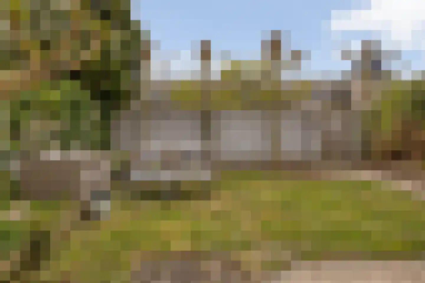 Laurier 13 Oisterwijk thumbnail 29