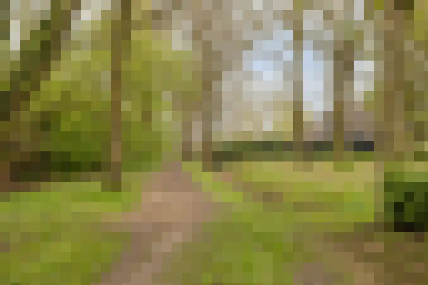 Laurier 13 Oisterwijk thumbnail 31
