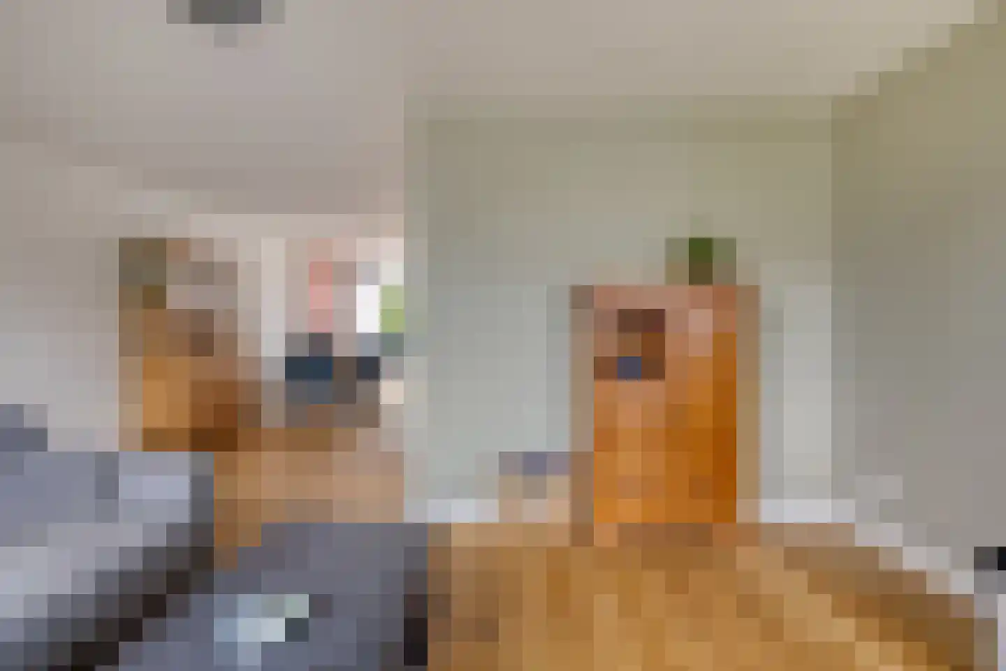Laurier 13 Oisterwijk thumbnail 8