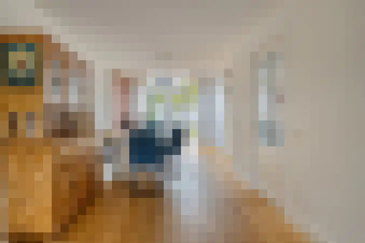 Laurier 13 Oisterwijk thumbnail 9