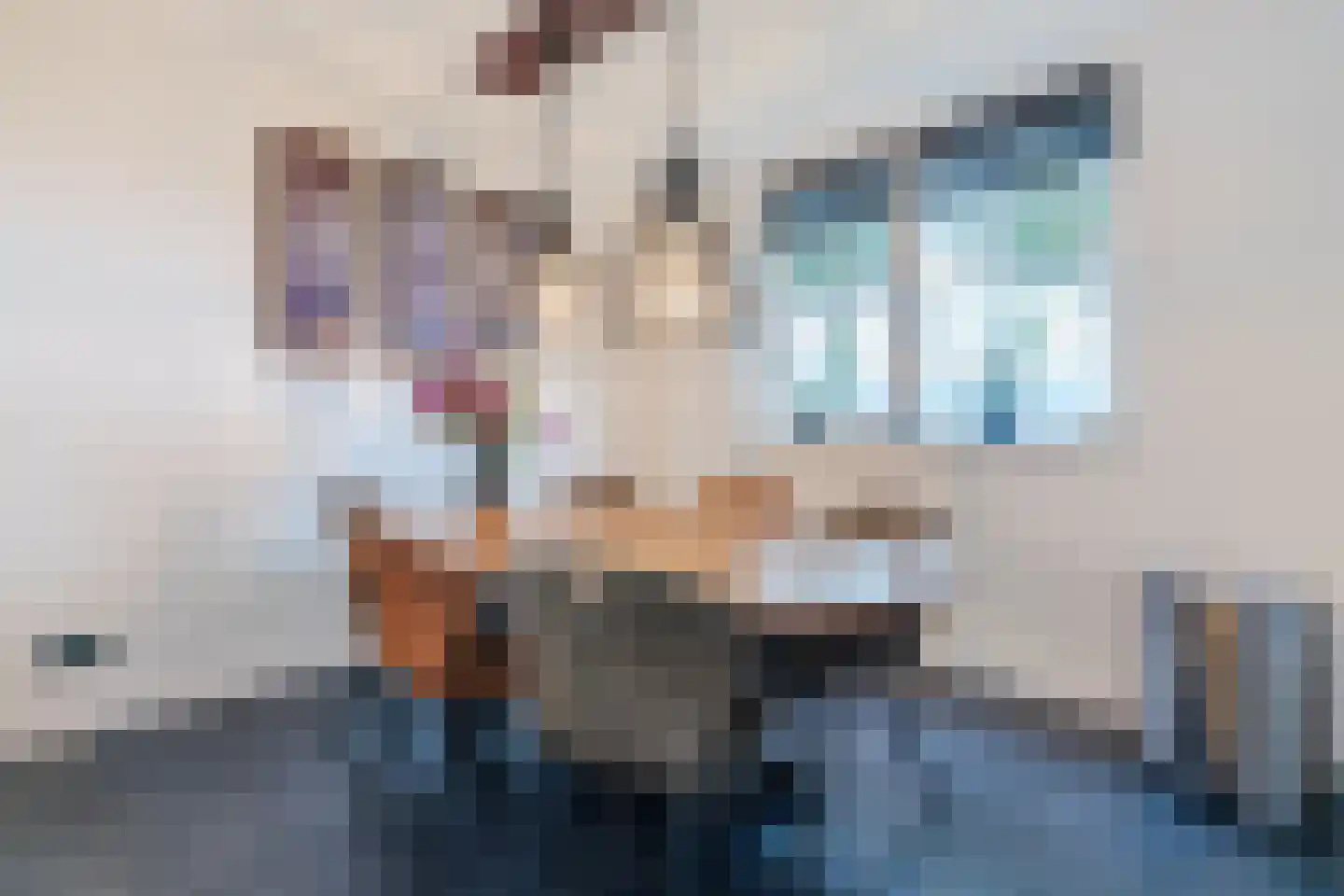 Laurier 14 Westerhaar-Vriezenveensewijk thumbnail 13